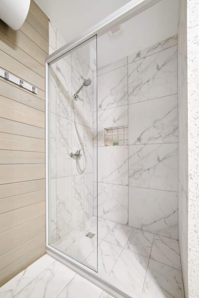 Glass Shower Door